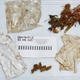 Trash found in the dolphin's stomach.